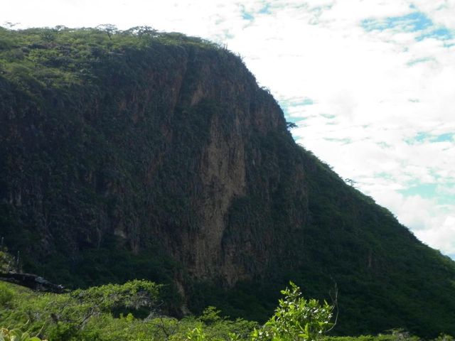 ventanillas