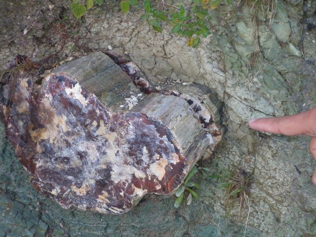 piedra chamana
