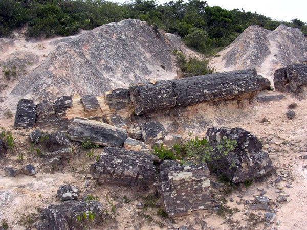piedra chamana 39 millones de años